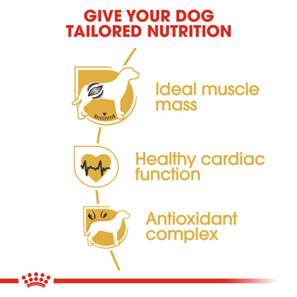 Royal Canin Adult Boxer Dry Dog Food 12kg