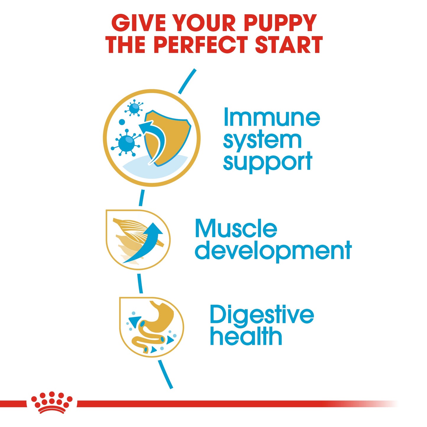 Royal Canin Puppy Boxer Dry Dog Food