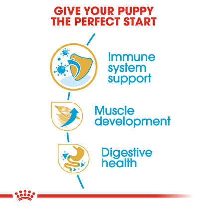 Royal Canin Puppy Boxer Dry Dog Food