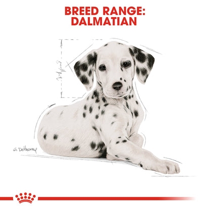 Royal Canin Puppy Dalmatian Dry Dog Food 12kg