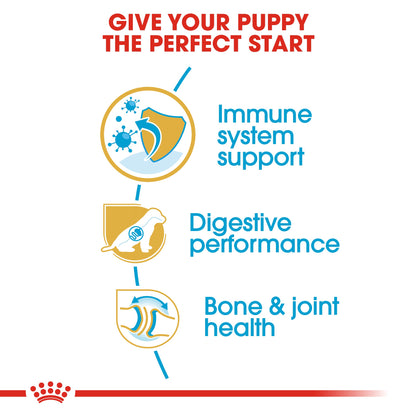 Royal Canin Puppy German Shepherd Dry Dog Food