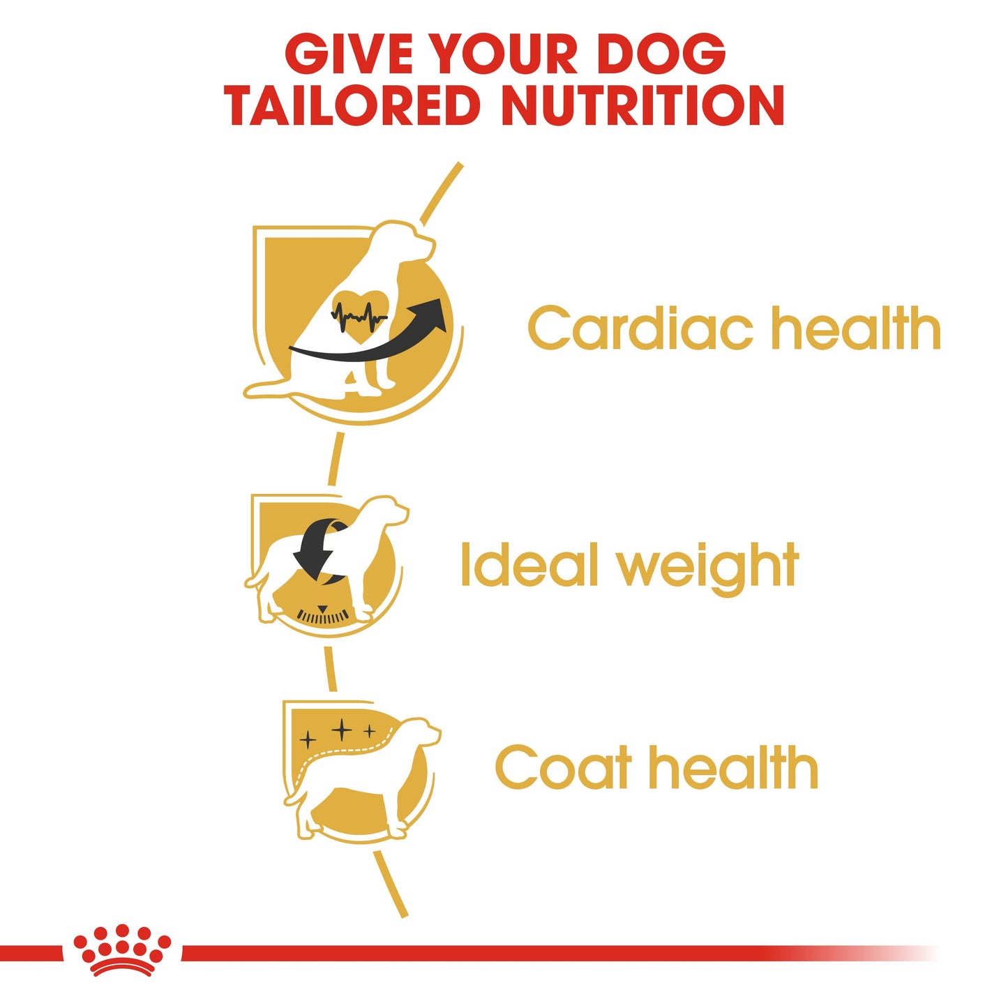 Royal Canin Adult Cavalier King Charles Dry Dog Food - 3kg