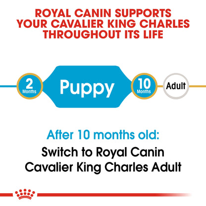 Royal Canin Puppy Cavalier King Charles Dry Dog Food 1.5kg