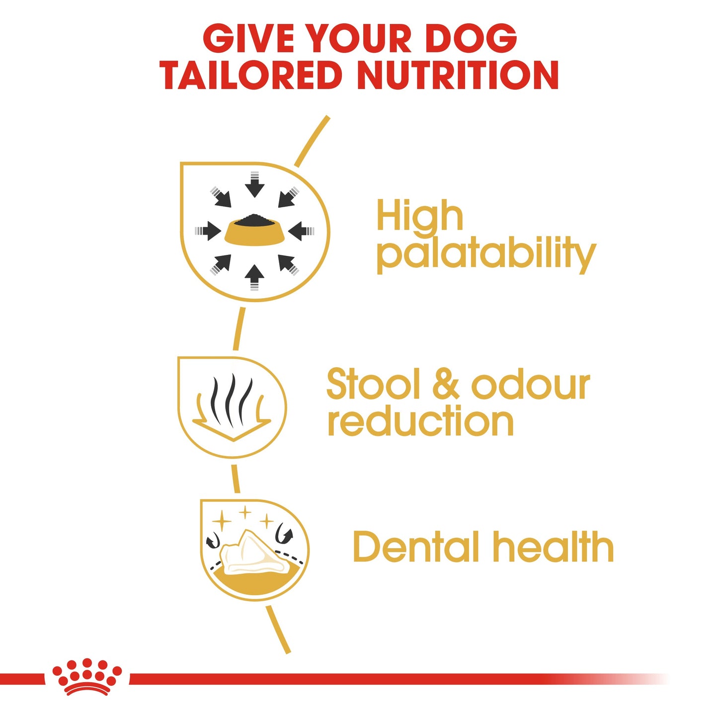 Royal Canin Adult Chihuahua Dry Dog Food