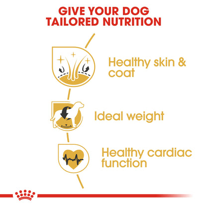 Royal Canin Adult Cocker Dry Dog Food
