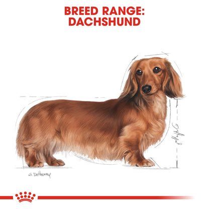 Royal Canin Adult Dachshund Dry Dog Food