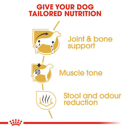 Royal Canin Adult Dachshund Dry Dog Food
