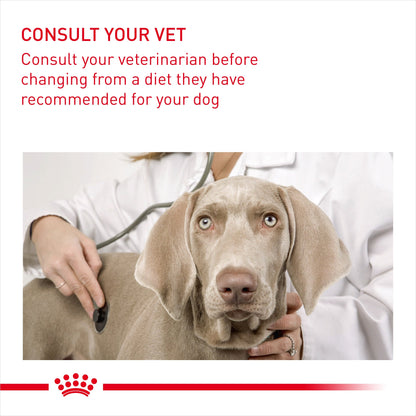 Royal Canin Adult All Size Dermacomfort Wet Dog Food