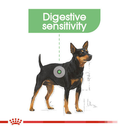 Royal Canin Adult Digestive Care Wet Dog Food