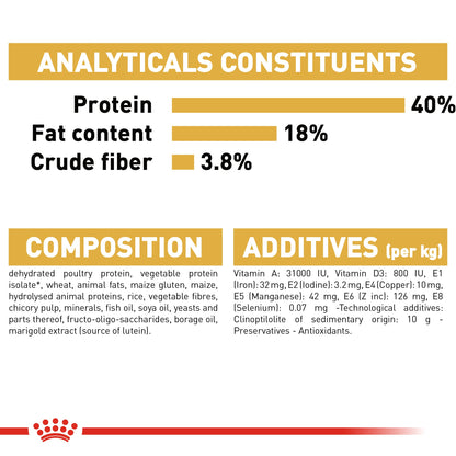 Royal Canin Adult Bengal Dry Cat Food