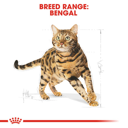 Royal Canin Adult Bengal Dry Cat Food