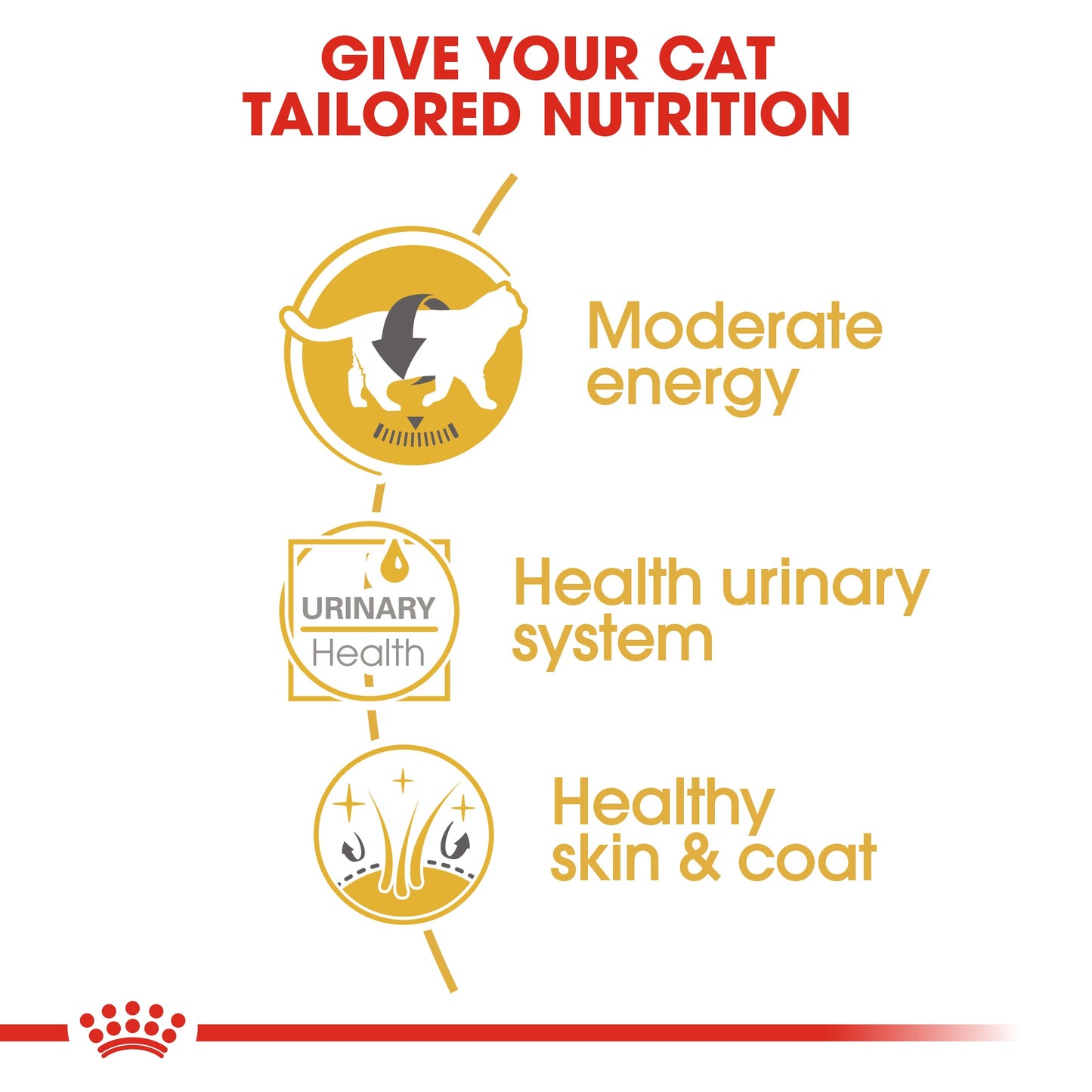 Royal Canin Feline Adult British Shorthair Wet Cat Food Pouches in Gravy - 12 x 85g