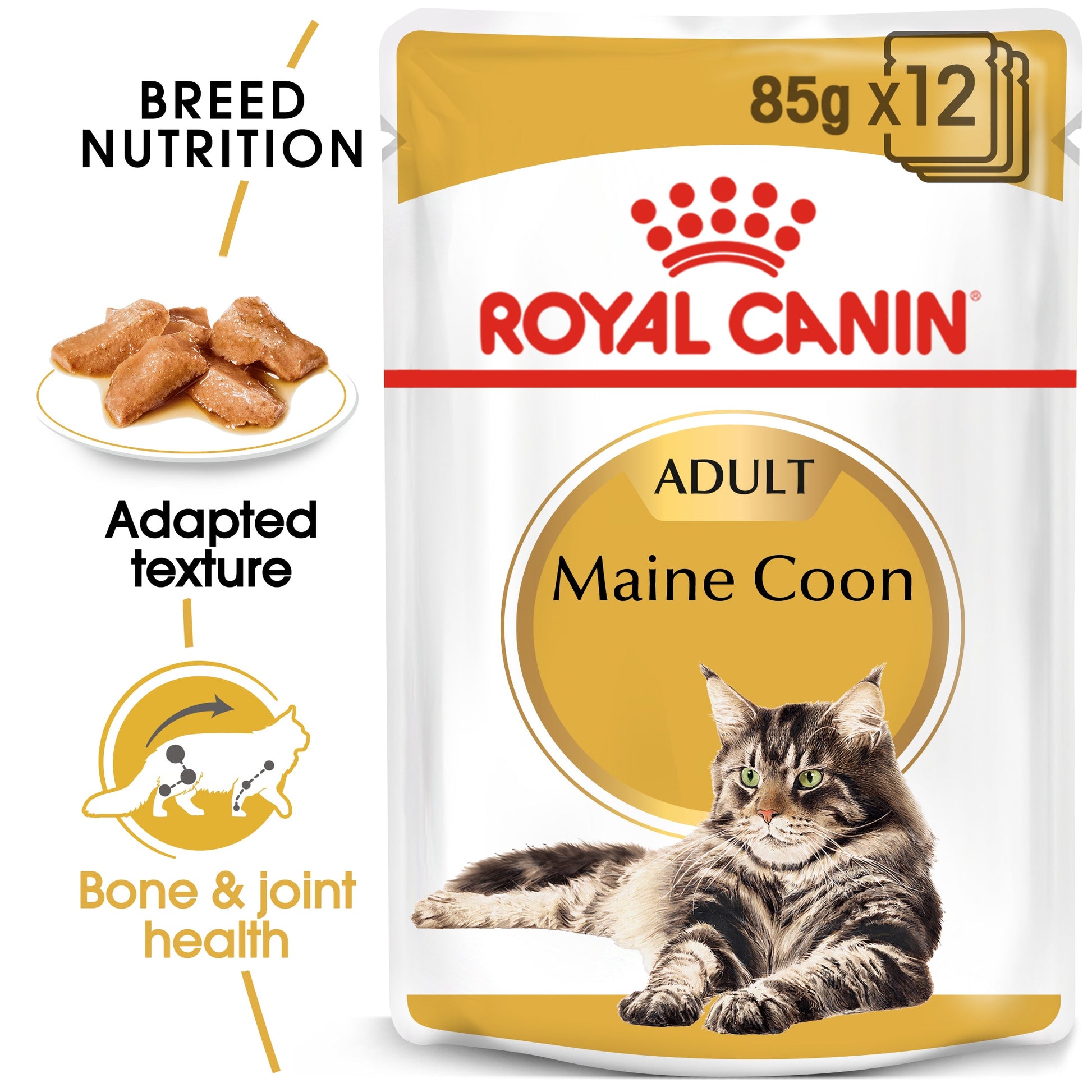 Royal Canin Feline Adult Maine Coon Wet Cat Food Pouches in Gravy - 12 x 85g