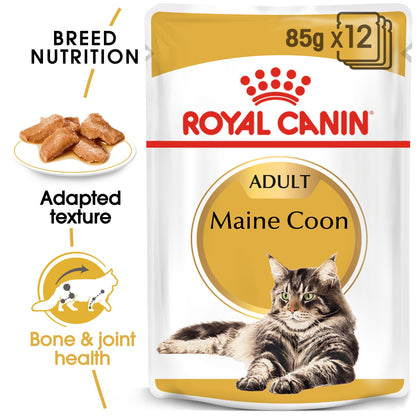Royal Canin Feline Adult Maine Coon Wet Cat Food Pouches in Gravy - 12 x 85g