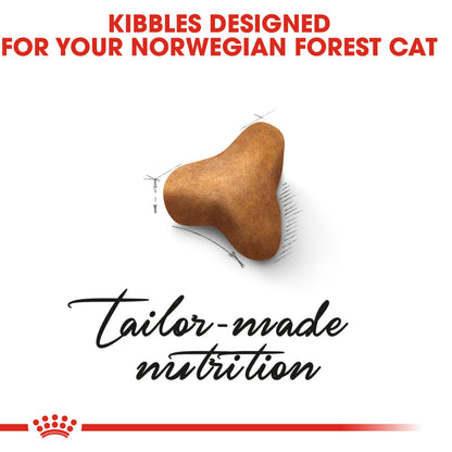 Royal Canin Adult Norwegian Forest Dry Cat Food 10kg