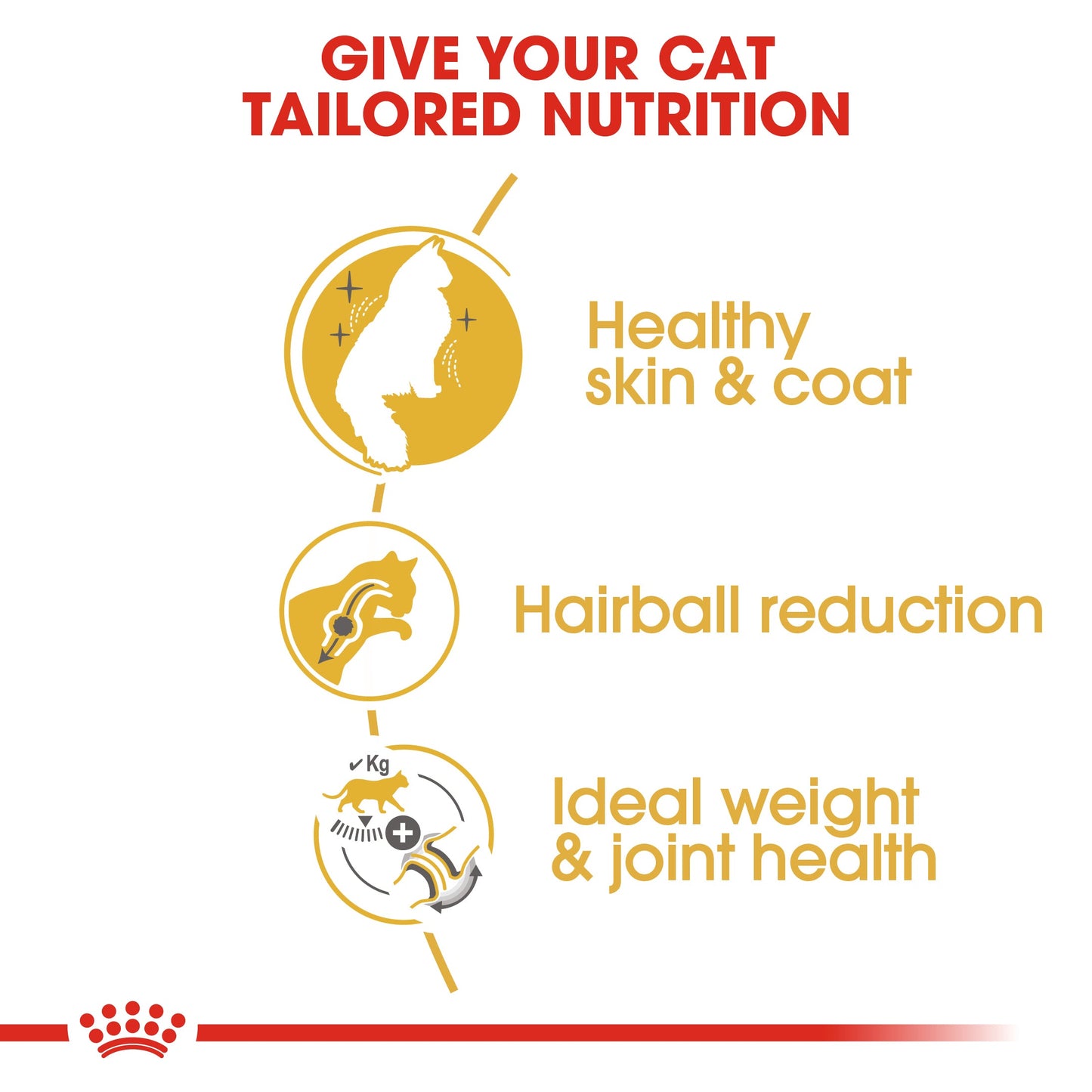 Royal Canin Adult Norwegian Forest Dry Cat Food 10kg
