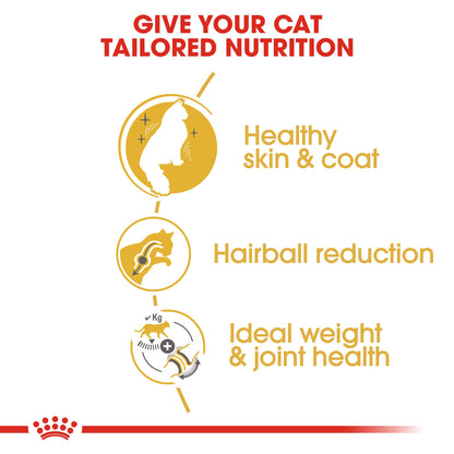 Royal Canin Adult Norwegian Forest Dry Cat Food 10kg