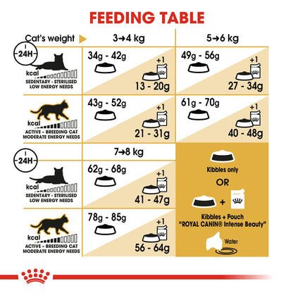 Royal Canin Adult Ragdoll Dry Cat Food