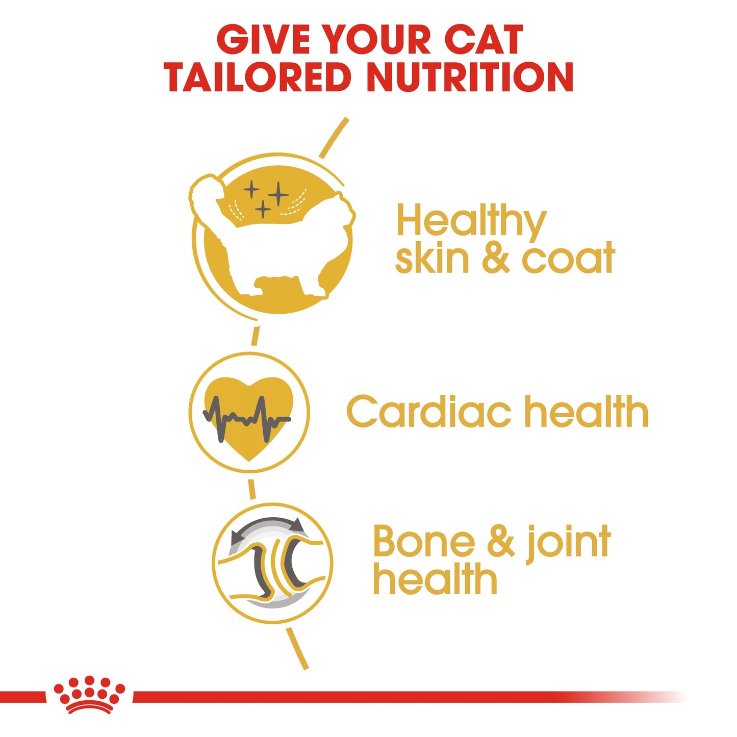 Royal Canin Adult Ragdoll Dry Cat Food