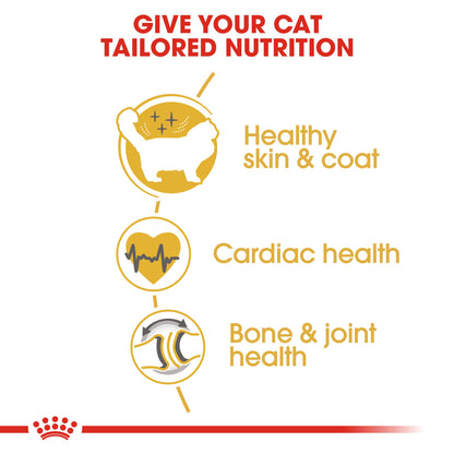 Royal Canin Adult Ragdoll Dry Cat Food