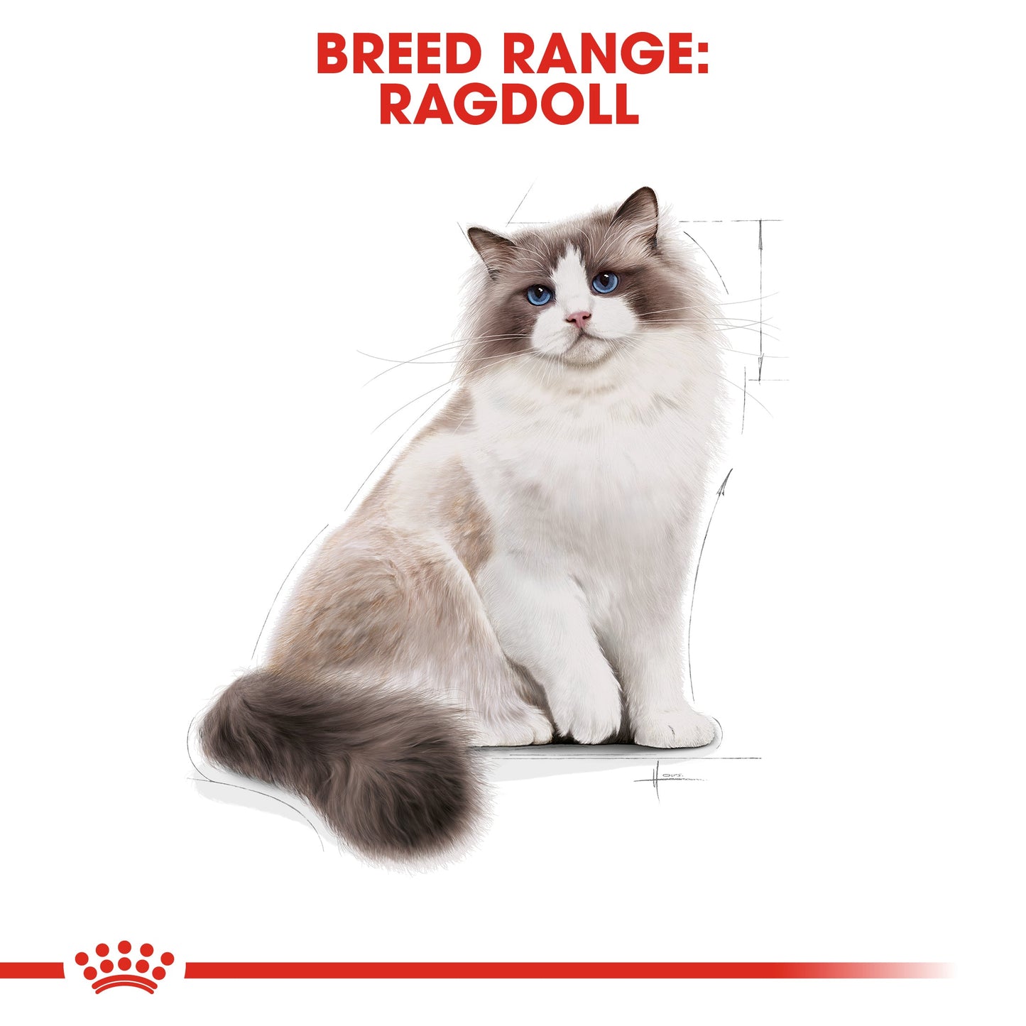 Royal Canin Adult Ragdoll Dry Cat Food