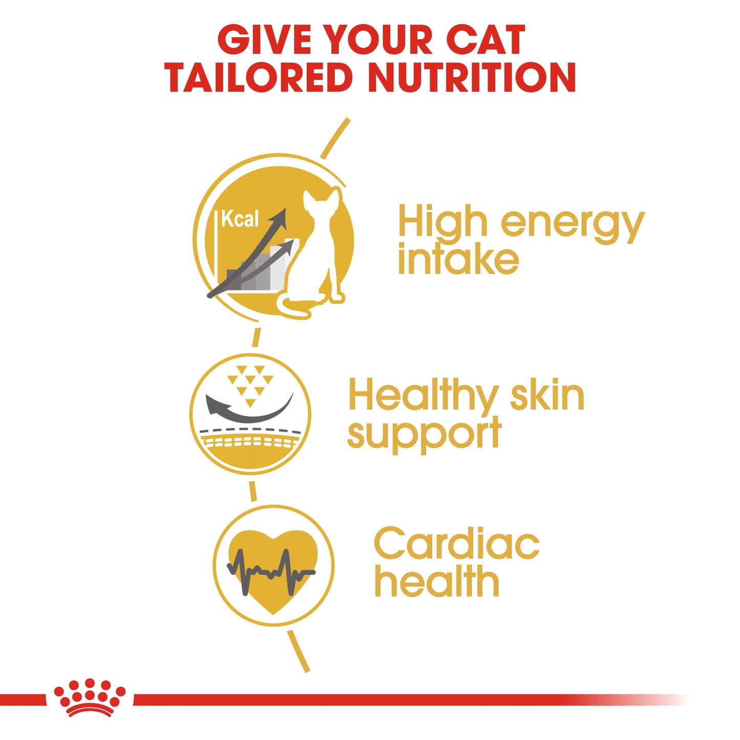 Royal Canin Adult Sphynx Dry Cat Food 10kg