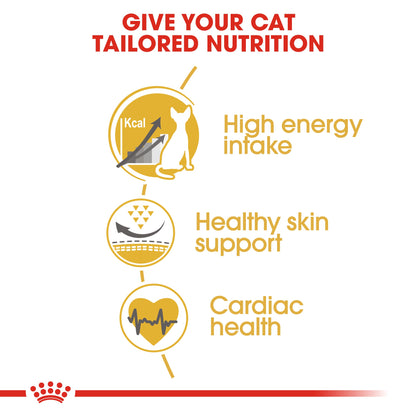 Royal Canin Adult Sphynx Dry Cat Food 10kg