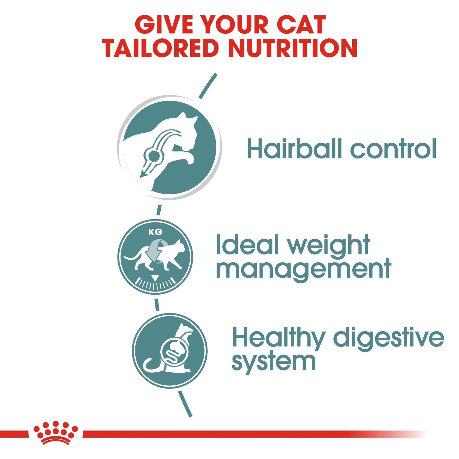 Royal Canin Feline Adult Hairball Care in Gravy Wet Cat Food Pouches - 12 x 85g
