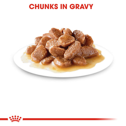Royal Canin Adult Ultralight in Gravy Wet Cat Food