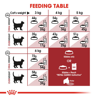 Royal Canin Adult Fit 32 Dry Cat Food