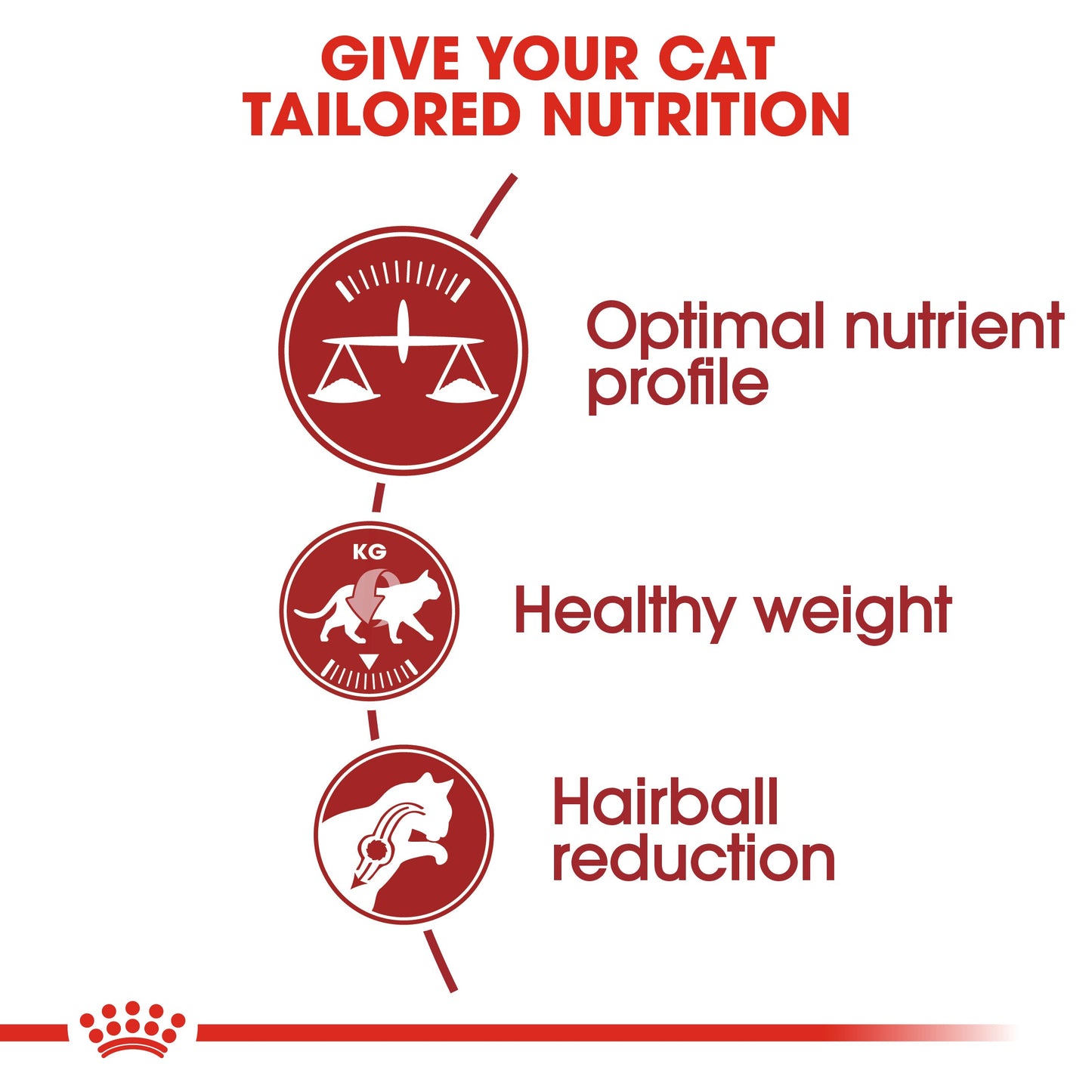 Royal Canin Adult Fit 32 Dry Cat Food