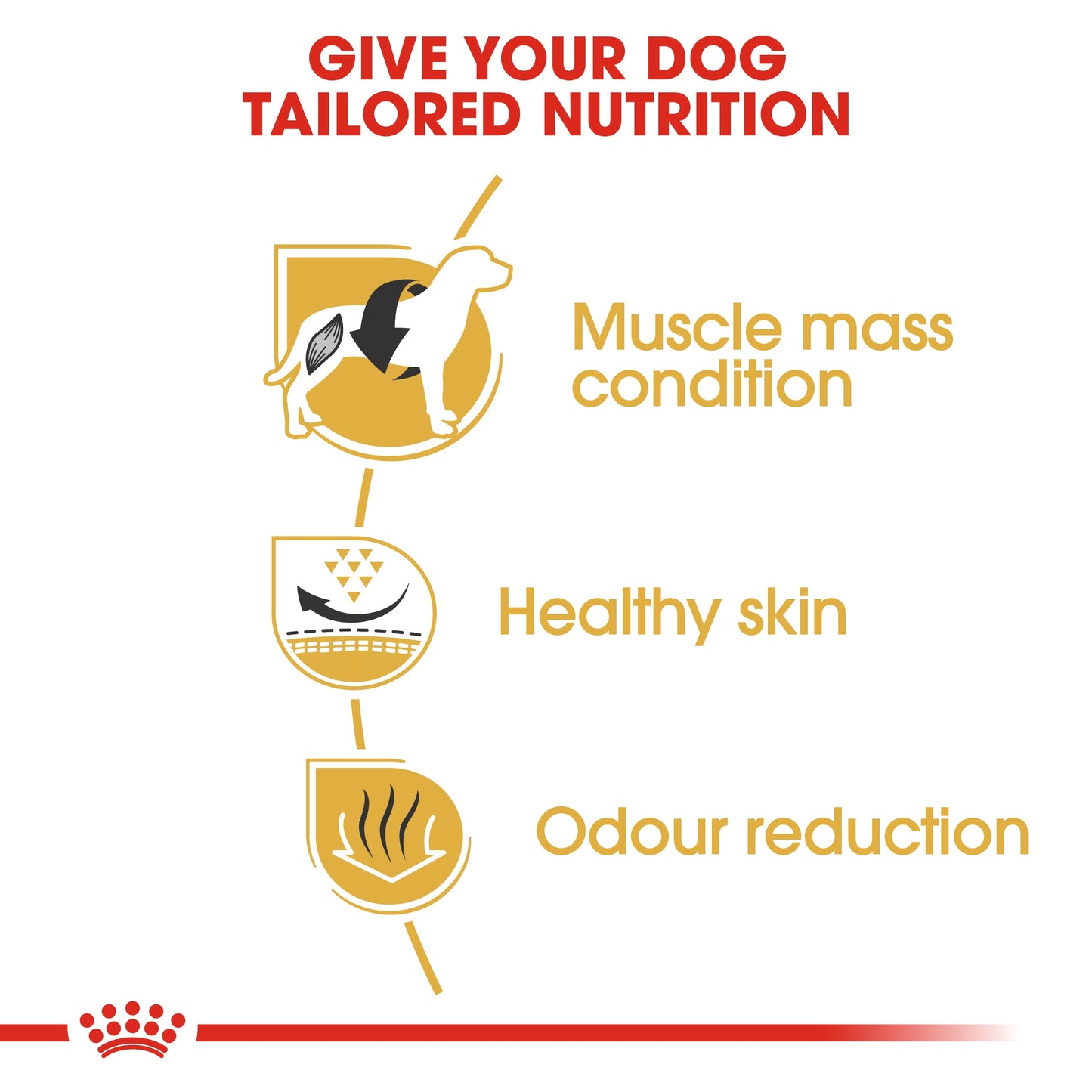 Royal Canin Adult French Bulldog Dry Dog Food