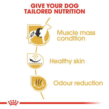 Royal Canin Adult French Bulldog Dry Dog Food
