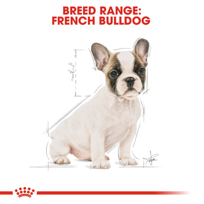 Royal Canin Puppy French Bulldog Dry Dog Food