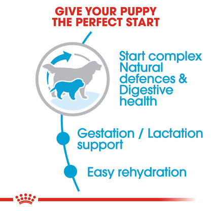 Royal Canin Mother & Babydog Giant Starter Dry Dog Food 15kg