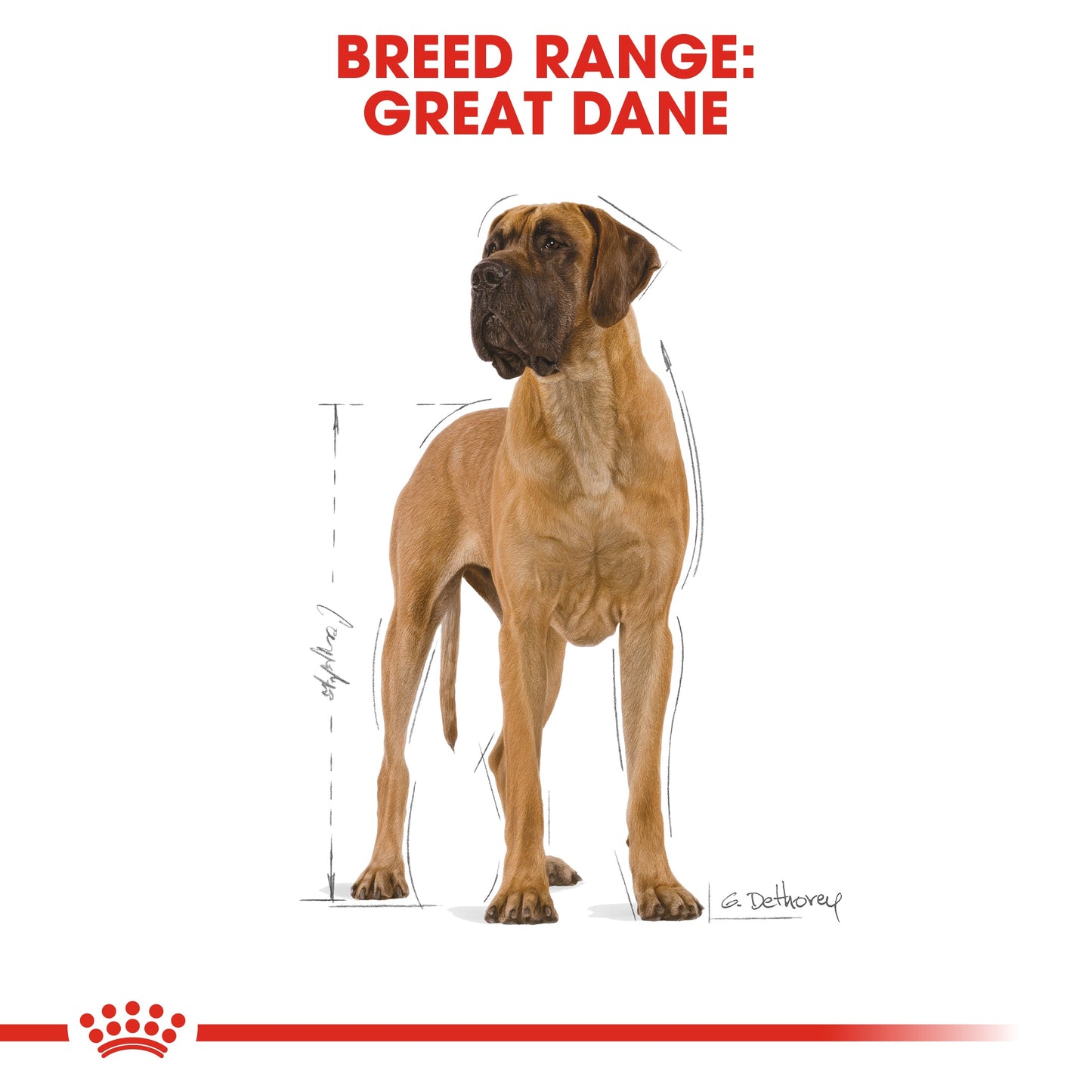 Royal Canin Adult Great Dane Dry Dog Food 12kg