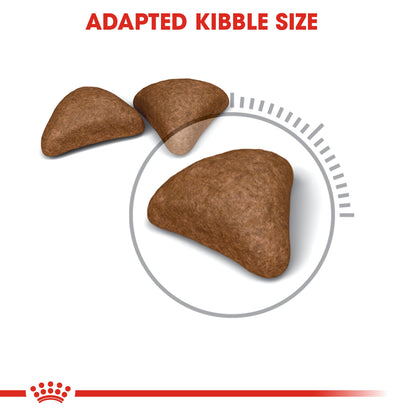 Royal Canin Adult Hairball Care Dry Cat Food