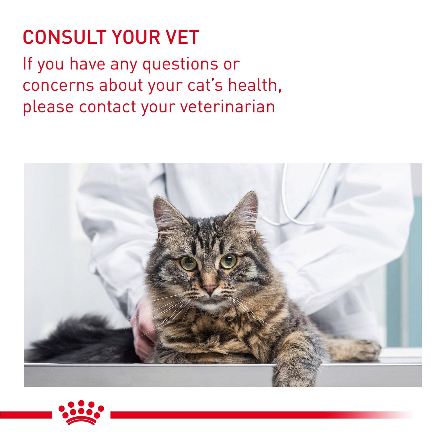 Royal Canin Adult Hairball Care Dry Cat Food