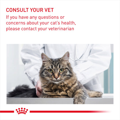 Royal Canin Adult Hairball Care Dry Cat Food
