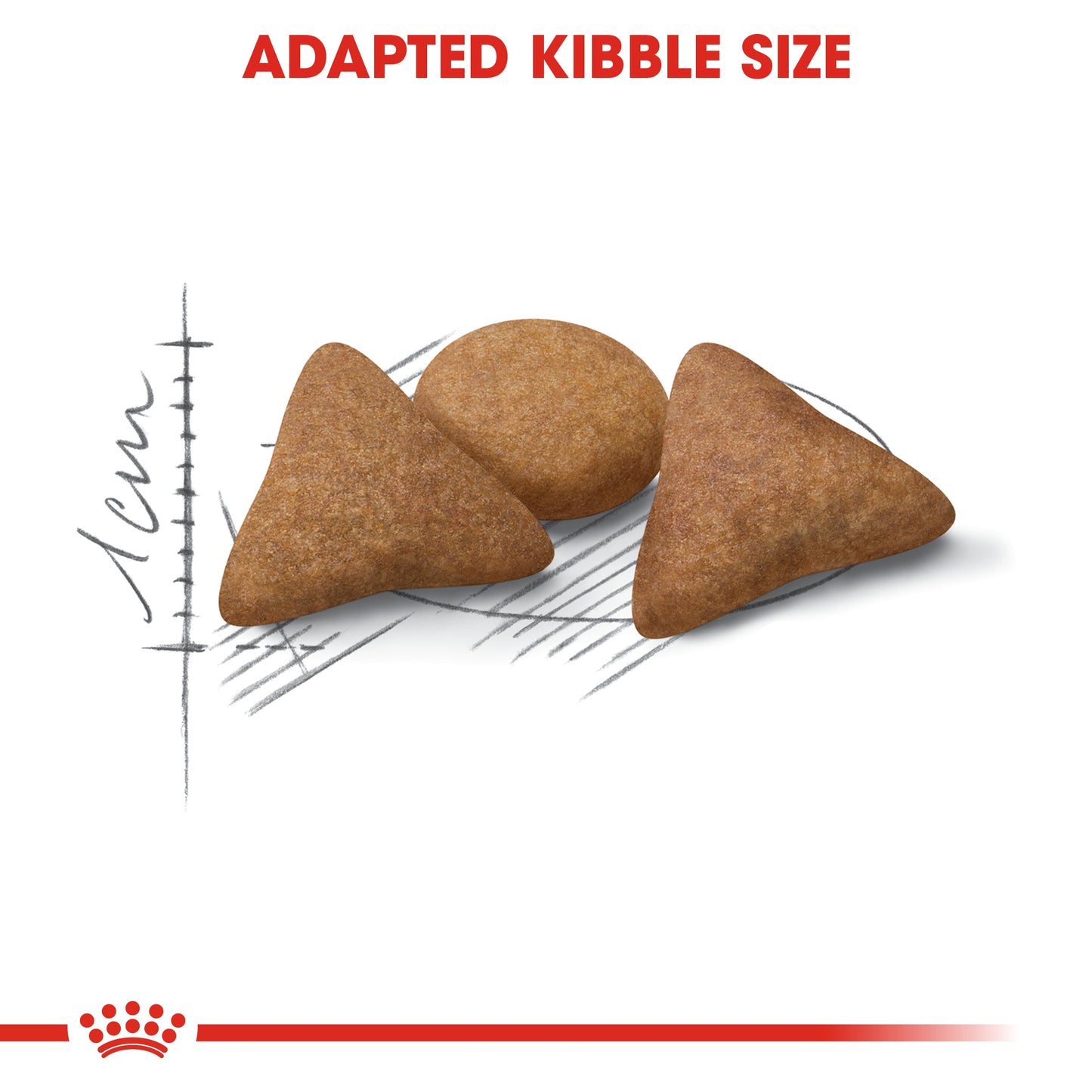 Royal Canin Adult Indoor Appetite Control Dry Cat Food