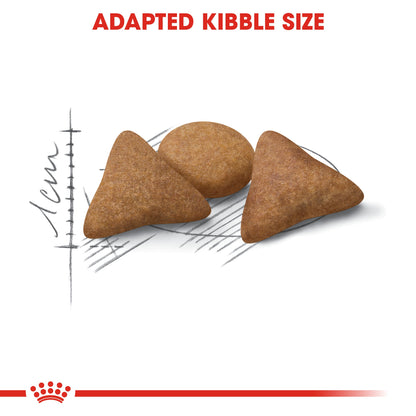 Royal Canin Adult Indoor Appetite Control Dry Cat Food