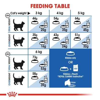 Royal Canin Adult Indoor Long Hair Dry Cat Food