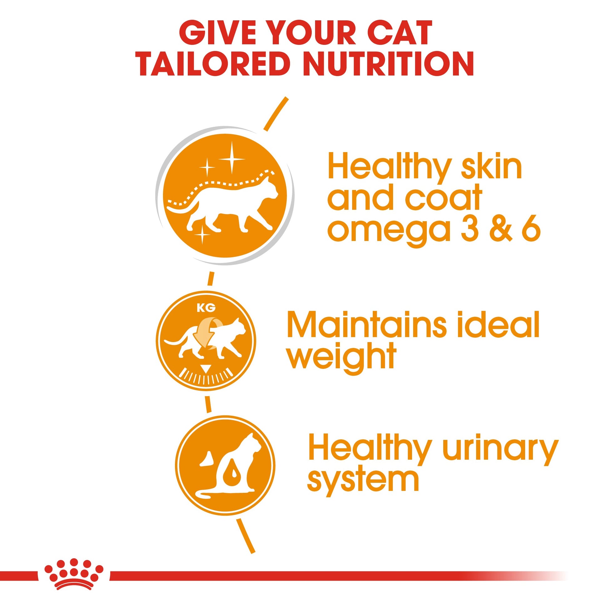 Royal Canin Intense Beauty Care In Gravy Adult Wet Cat Food Pouches - 12 x 85g