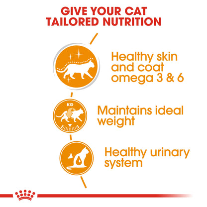 Royal Canin Intense Beauty Care In Gravy Adult Wet Cat Food Pouches - 12 x 85g