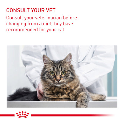 Royal Canin Intense Beauty Care In Gravy Adult Wet Cat Food Pouches - 12 x 85g