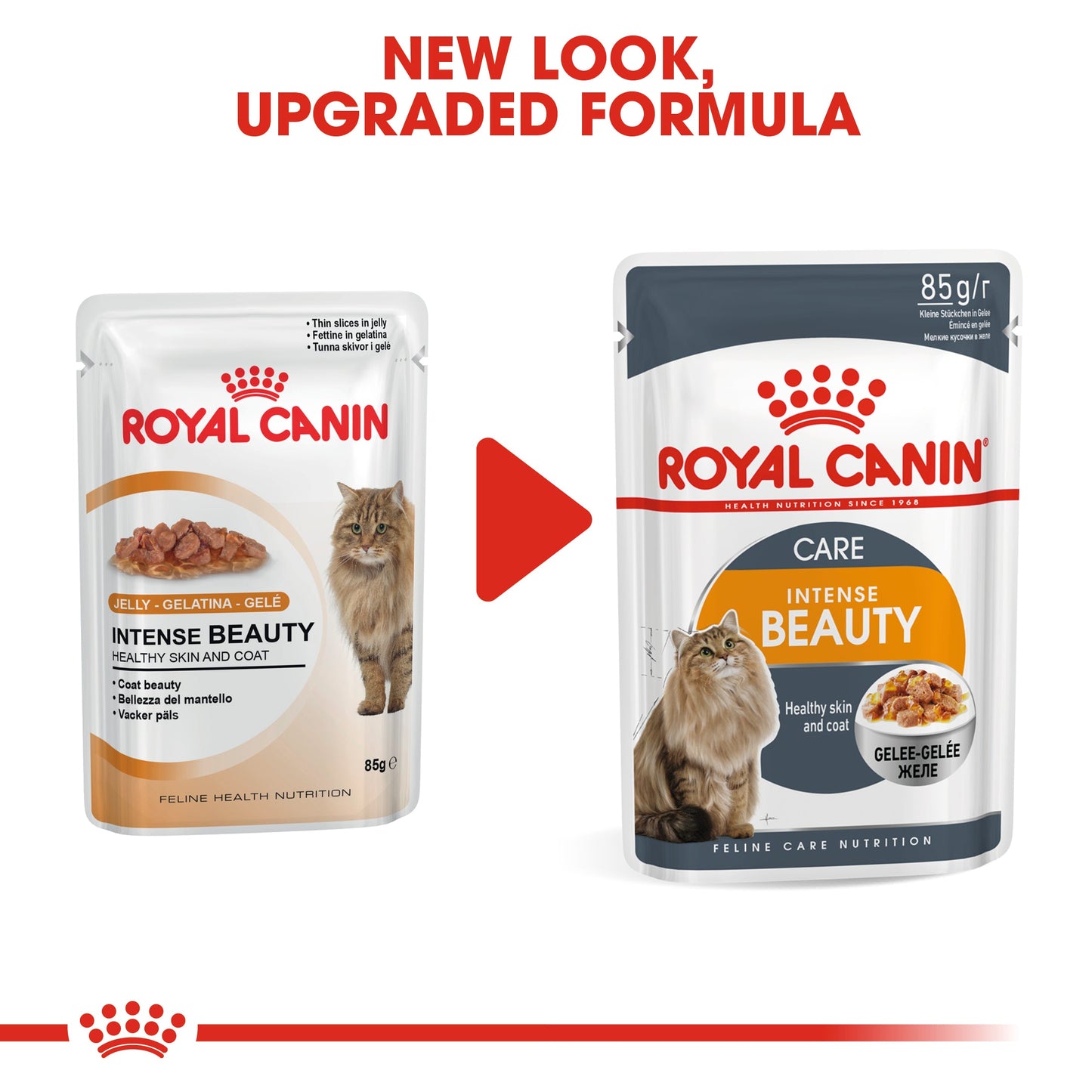 Royal Canin Feline Adult Intense Beauty in Jelly Wet Cat Food Pouches - 12 x 85g