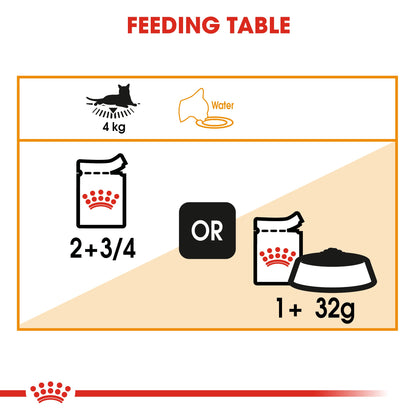 Royal Canin Adult Intense Beauty Thin Slices In Jelly Wet Cat Food