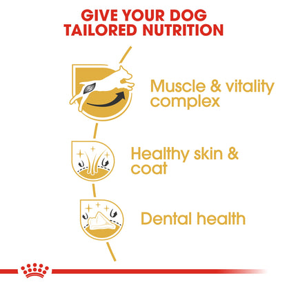 Royal Canin Adult Jack Russell Terrier Dry Dog Food
