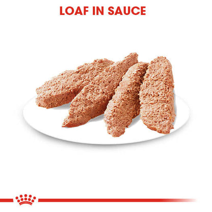 Royal Canin Adult Light Weight Care Loaf Wet Dog Food
