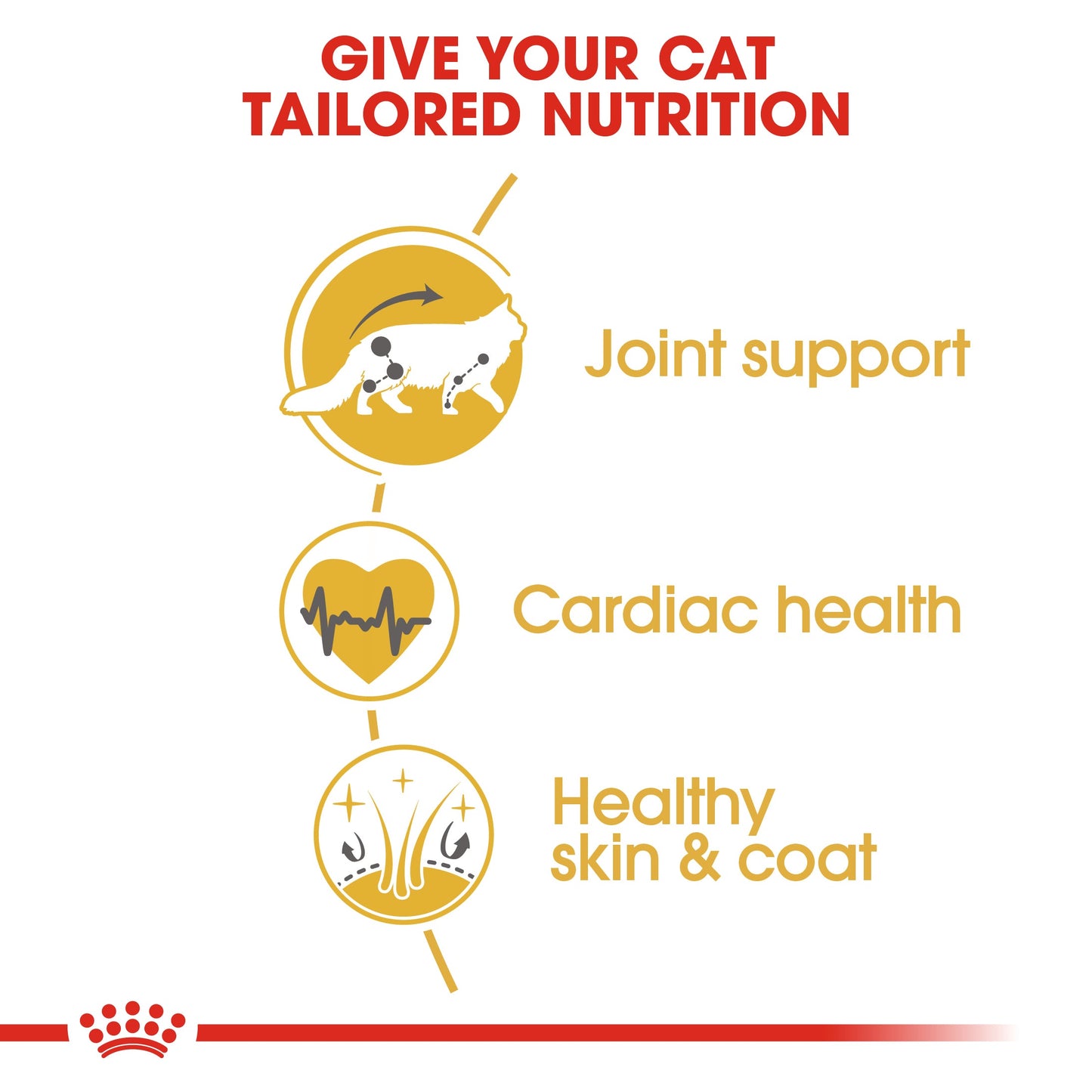 Royal Canin Adult Maine Coon Dry Cat Food